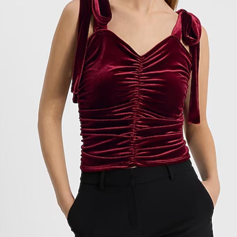 Express Velvet Burgundy Ruched Top